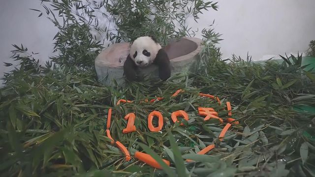 無綫新聞 TVB News