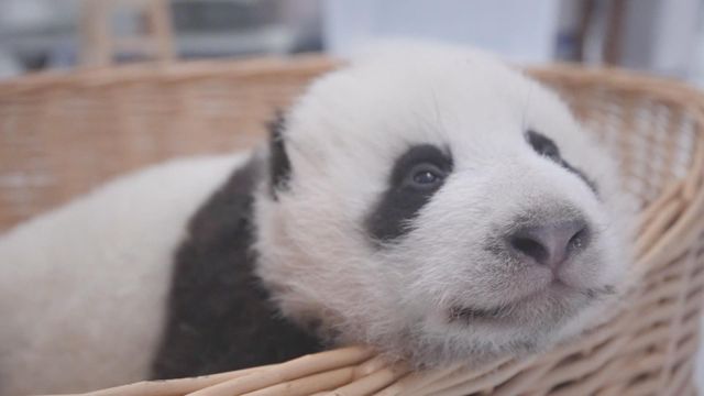 無綫新聞 TVB News