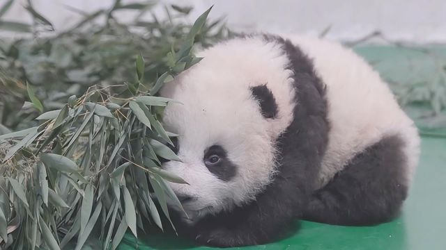 無綫新聞 TVB News