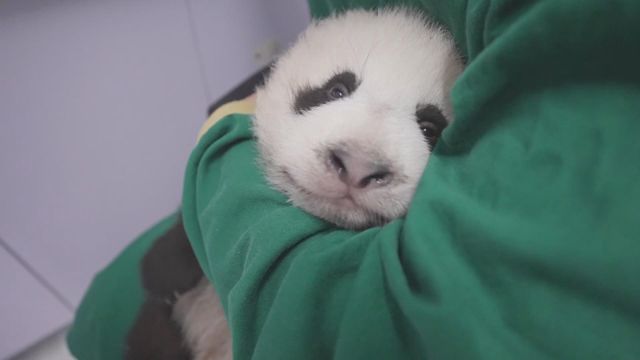 無綫新聞 TVB News