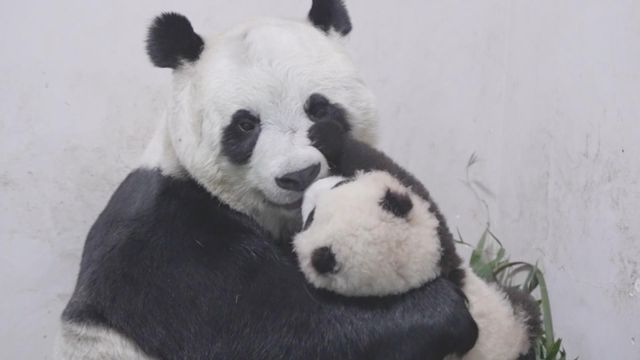 無綫新聞 TVB News