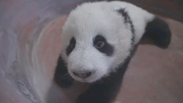 無綫新聞 TVB News