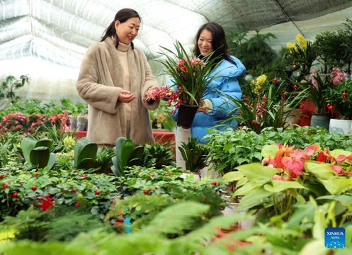 無綫新聞 TVB News