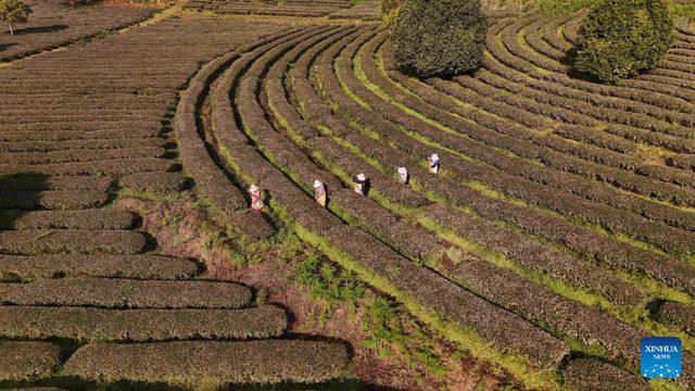 無綫新聞 TVB News