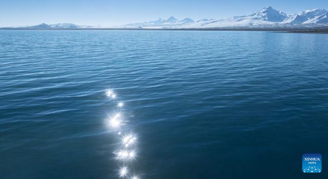 無綫新聞 TVB News