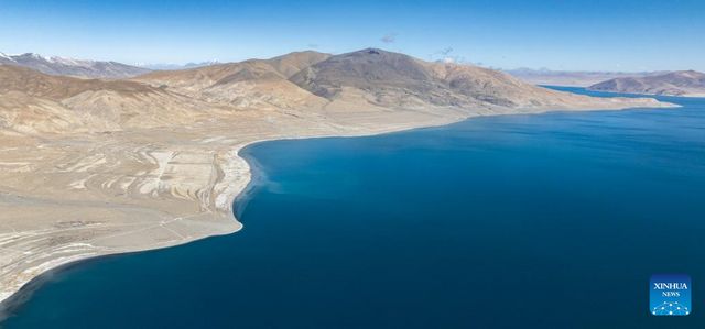 無綫新聞 TVB News