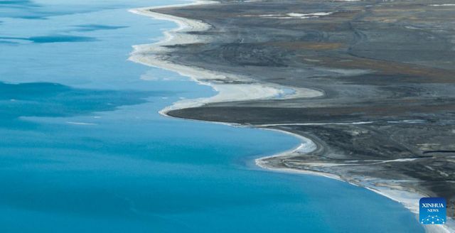 無綫新聞 TVB News