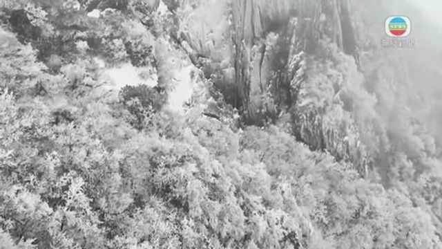 無綫新聞 TVB News