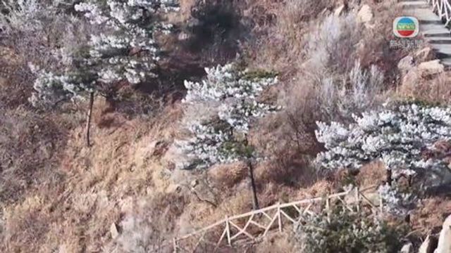 無綫新聞 TVB News