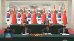 Xi stresses importance of dialogue in talks with visiting South Korean president