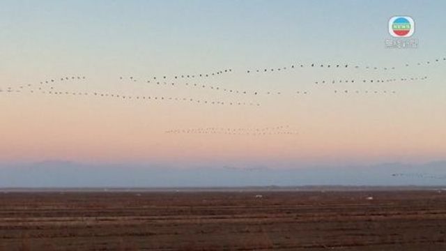 無綫新聞 TVB News