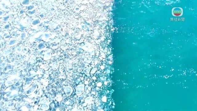 無綫新聞 TVB News