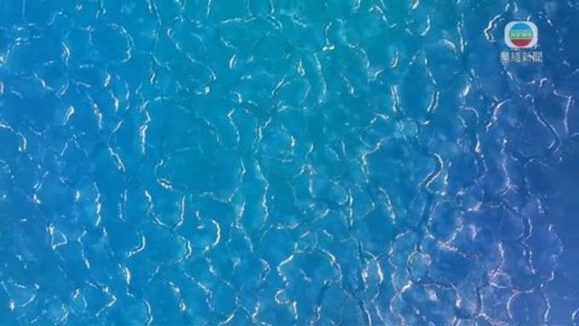 無綫新聞 TVB News