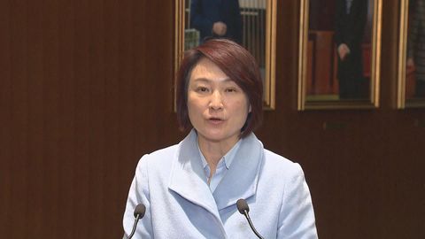 Starry Lee beats Ronick Chan to become new LegCo president