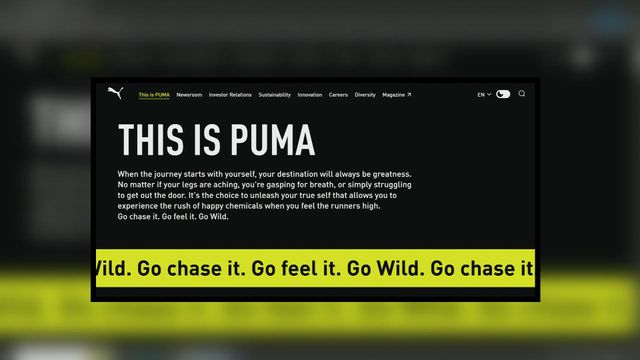 安踏向法國皮諾家族提出收購Puma股權