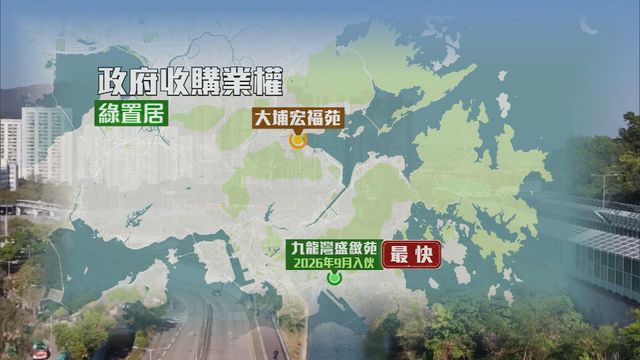 無綫新聞 TVB News