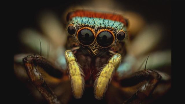 無綫新聞 TVB News