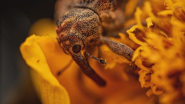 無綫新聞 TVB News