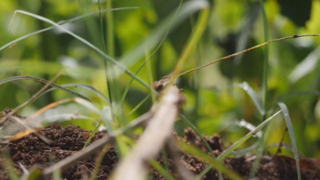 無綫新聞 TVB News