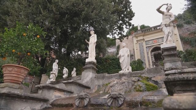 無綫新聞 TVB News