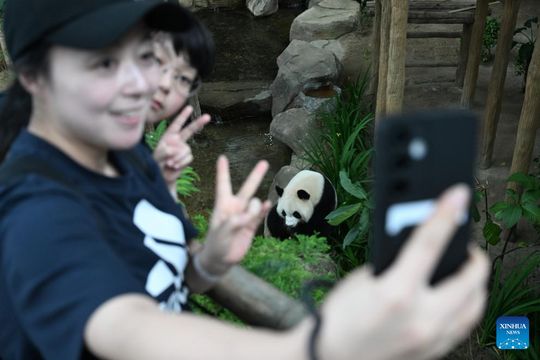 無綫新聞 TVB News