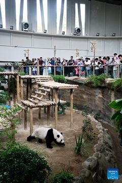 無綫新聞 TVB News