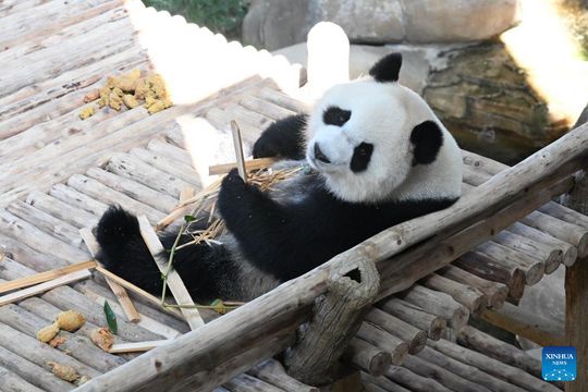 無綫新聞 TVB News