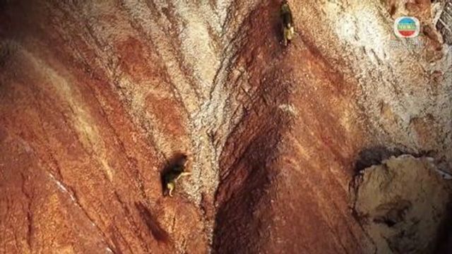 無綫新聞 TVB News