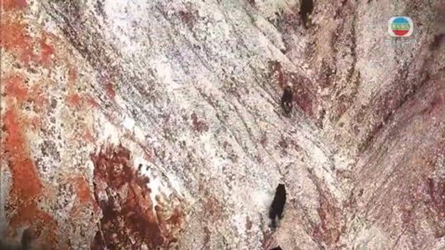 無綫新聞 TVB News