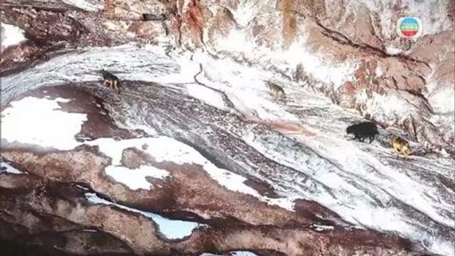 無綫新聞 TVB News