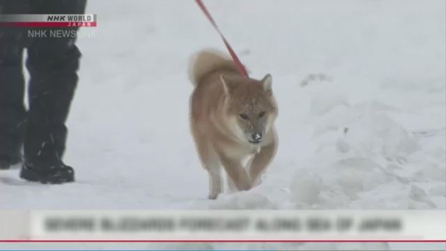 無綫新聞 TVB News