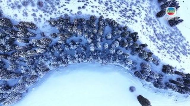 無綫新聞 TVB News