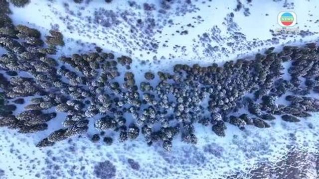 無綫新聞 TVB News