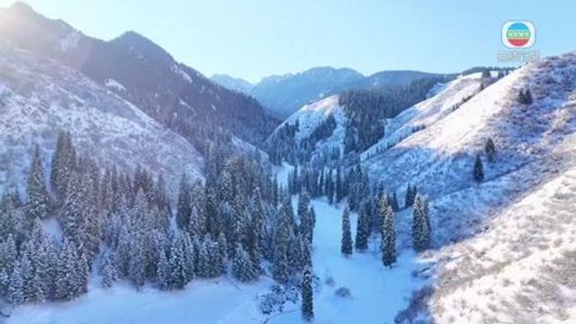 無綫新聞 TVB News