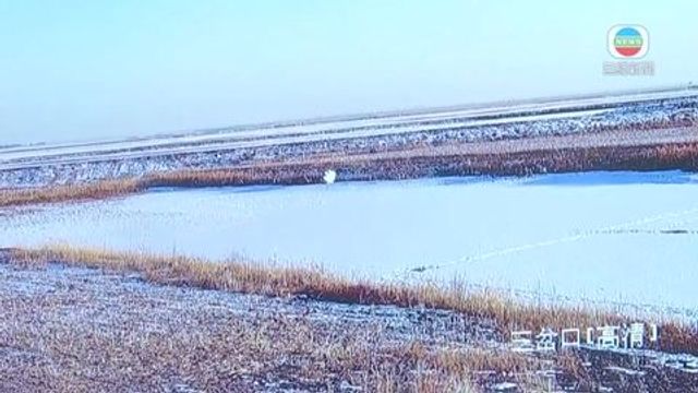 無綫新聞 TVB News