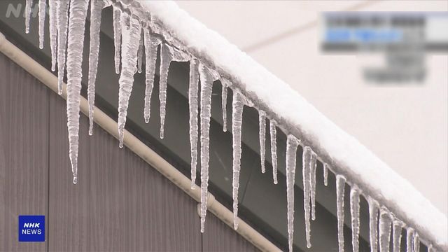 無綫新聞 TVB News