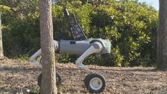 AI to track wetland birds and robotic dogs to count trees