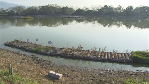 MTR and HKU join hands to promote conservation at Lok Ma Chau Wetland