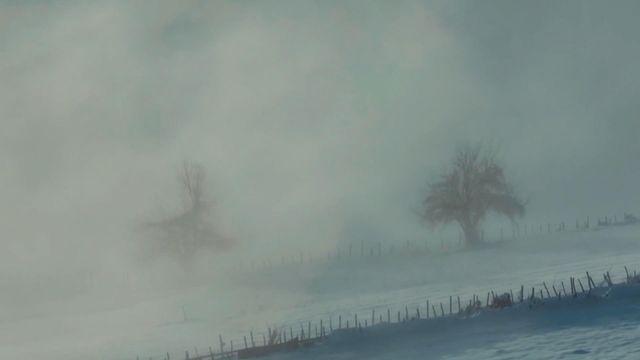 無綫新聞 TVB News