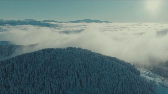 無綫新聞 TVB News