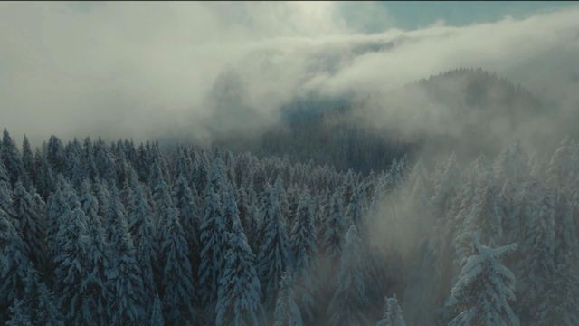 無綫新聞 TVB News