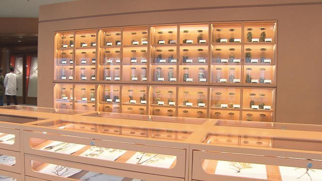 無綫新聞 TVB News