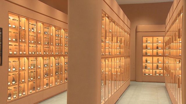 無綫新聞 TVB News