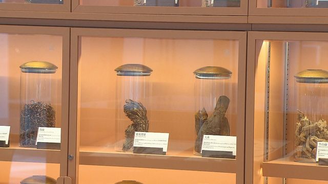 無綫新聞 TVB News