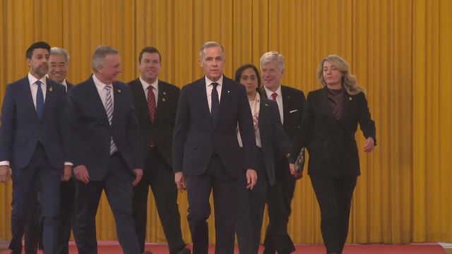 加拿大撤銷對華電動車關稅　換取中國降低加國農產品關稅