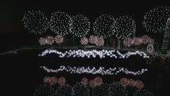 Chinese New Year fireworks over Victoria Harbour to feature horse elements