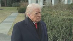 Trump may punish countries with tariffs if not supporting U.S. in Greenland