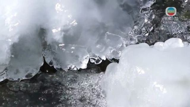 無綫新聞 TVB News