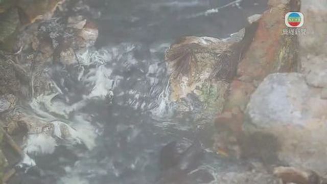 無綫新聞 TVB News