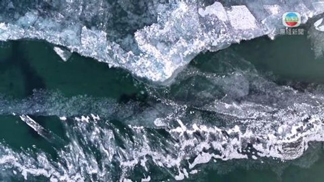 無綫新聞 TVB News